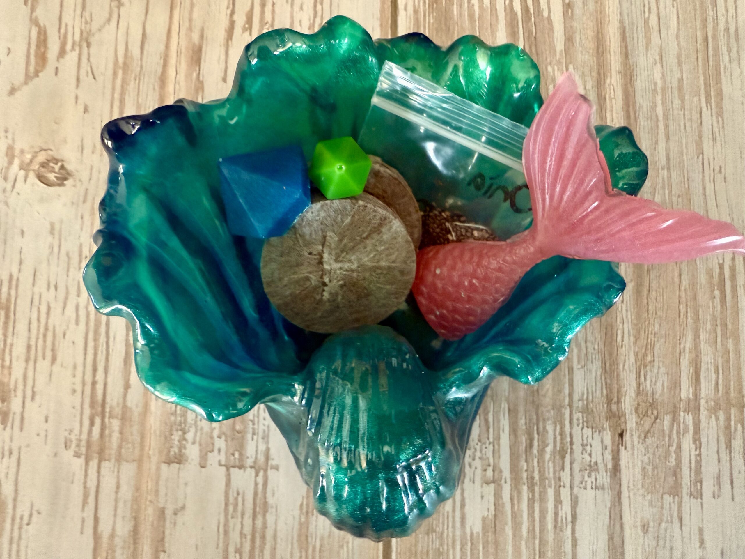 Shell Garden Kit
