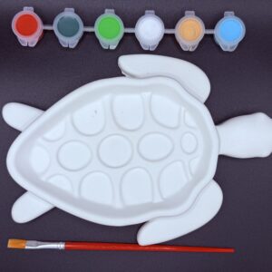 Turtle Tray Paint Kit