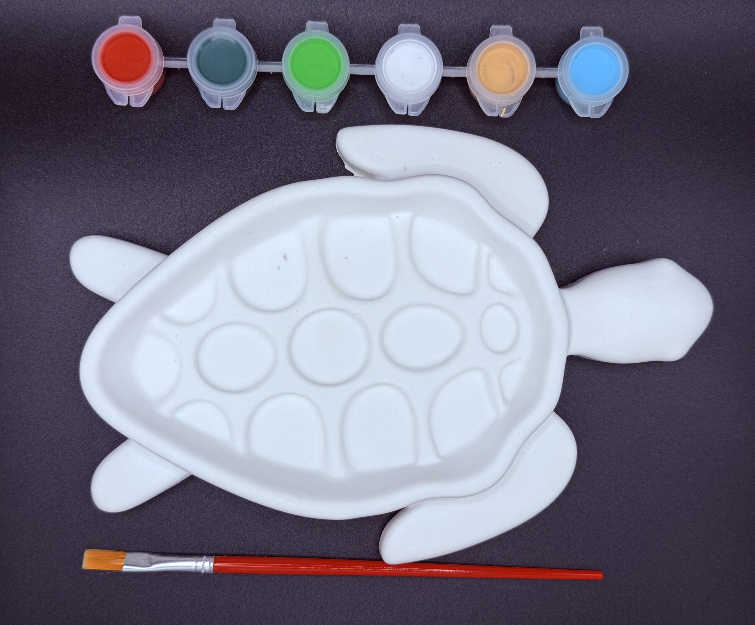 Turtle Tray Paint Kit