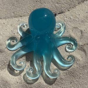 Disappearing Octopus